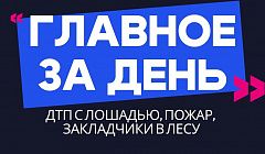 Главное за день: ДТП с лошадью, пожар на 400 квадратов и закладчики в лесу