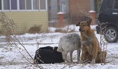 Главное за день: Госдума vs. Улан-Удэ, Duran бурят, Касперский в Улан-Удэ