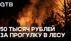 50 тысяч рублей за прогулку в лесу. В Улан-Удэ ввели противопожарный режим
