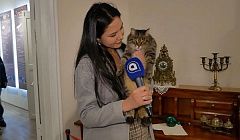 Вернуться в прошлое за 28 миллионов рублей