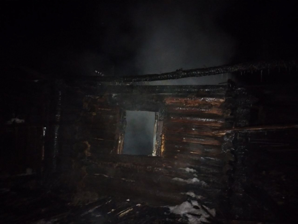Собака и курочки сгорели на пожаре в Бурятии Собака и курочки сгорели на пожаре в Бурятии