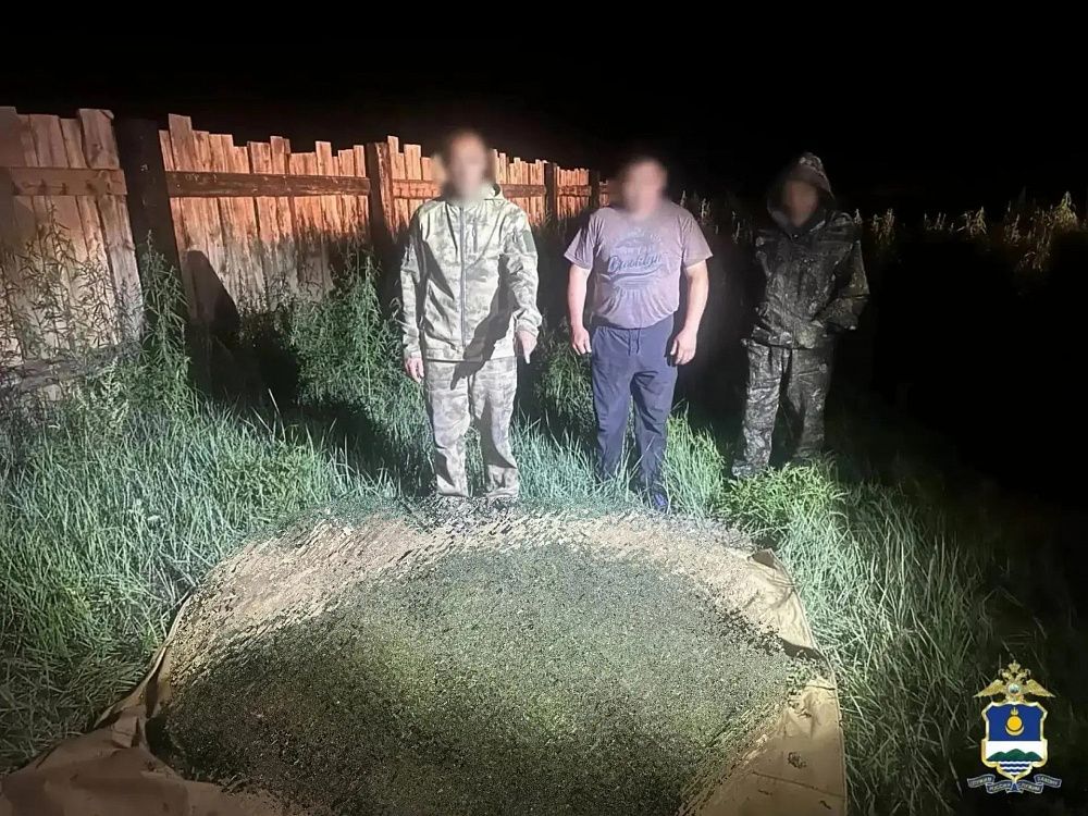 В Бурятии пастух следил за стадом и собирал коноплю В Бурятии пастух следил за стадом и собирал коноплю
