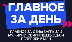 Главное за день: загрызли мужчину, сбили пешехода и потеряли 5 млн