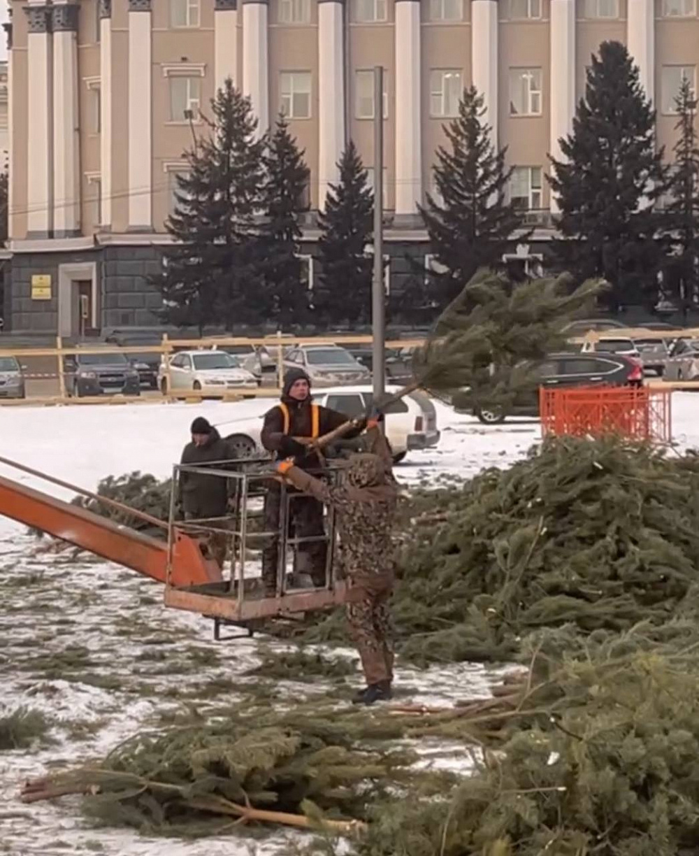 В Улан-Удэ приступили к сборке главной городской ёлки В Улан-Удэ приступили к сборке главной городской ёлки