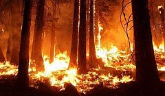 Назад в 90-е: улан-удэнки не поделили клиентов и подрались посреди "Сагаан Морина" 
