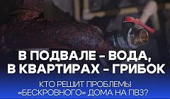 В подвале - вода, в квартирах - грибок. Кто решит проблемы «бескровного» дома на ПВЗ?