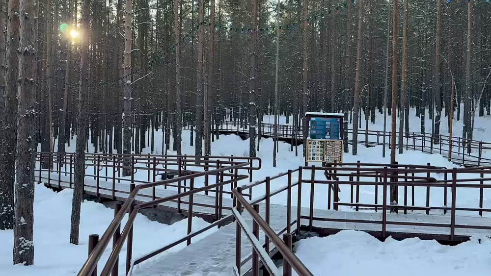 Куда пойти: тропы здоровья в Улан-Удэ подготовили к новогодним праздникам Куда пойти: тропы здоровья в Улан-Удэ подготовили к новогодним праздникам