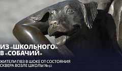 Из «Школьного» в «собачий». Жители ПВЗ в шоке от состояния сквера возле школы №42