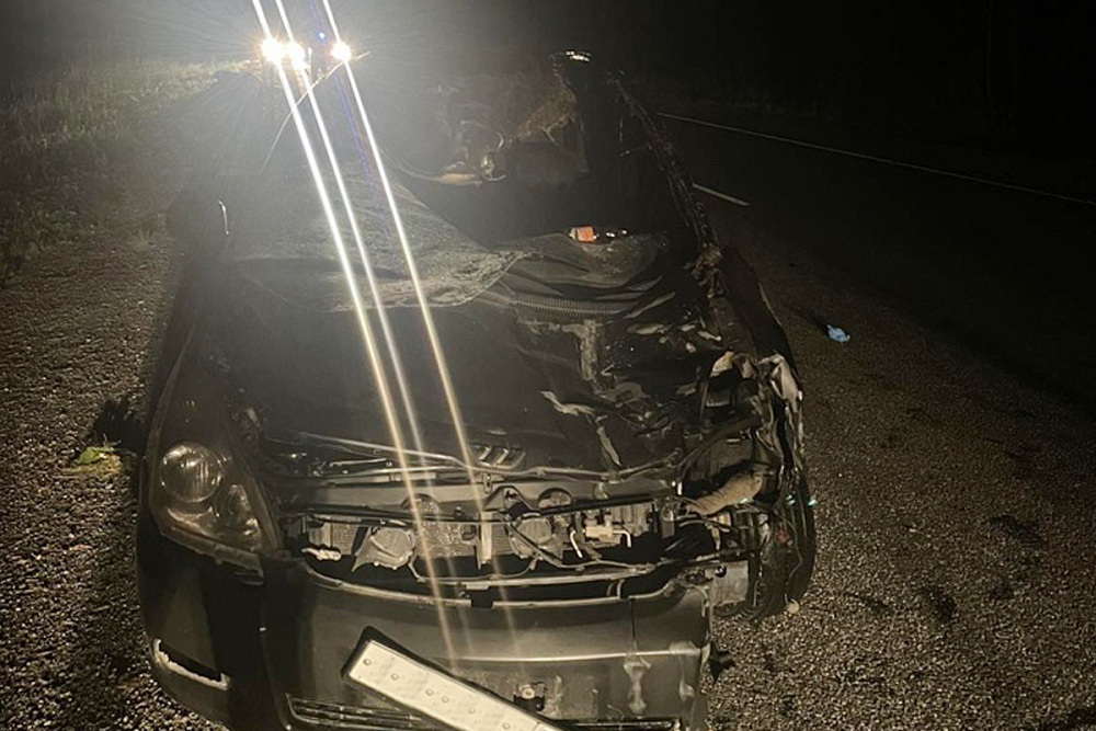 В Бурятии в ДТП с лошадью погибла пассажирка автомобиля В Бурятии в ДТП с лошадью погибла пассажирка автомобиля