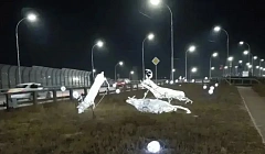 Уланудэнец выместил злость на оленей. Его задержали