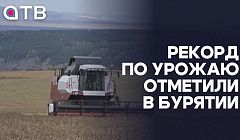 «Лучший результат почти за 4 века». Рекорд по урожаю отметили в Бурятии