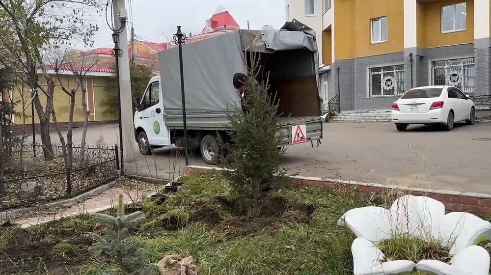 Тополя, голубые ели и барбарис: в Улан-Удэ завершается посадочный сезон