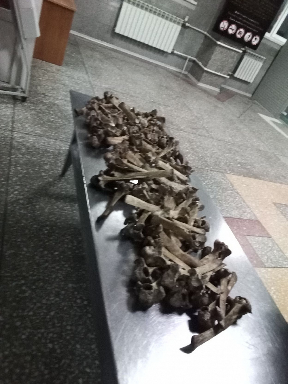 В Бурятию не довезли кости В Бурятию не довезли кости