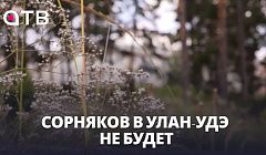 Сорняков в Улан-Удэ не будет