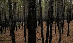 Пожары, протоколы, люди. Итоги горячего сезона в Улан-Удэ