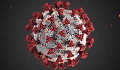 Бессимптомных больных  убрали из статистики заражённых COVID-19