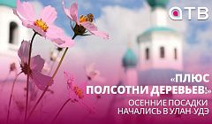 «Плюс полсотни деревьев!» Осенние посадки начались в Улан-Удэ