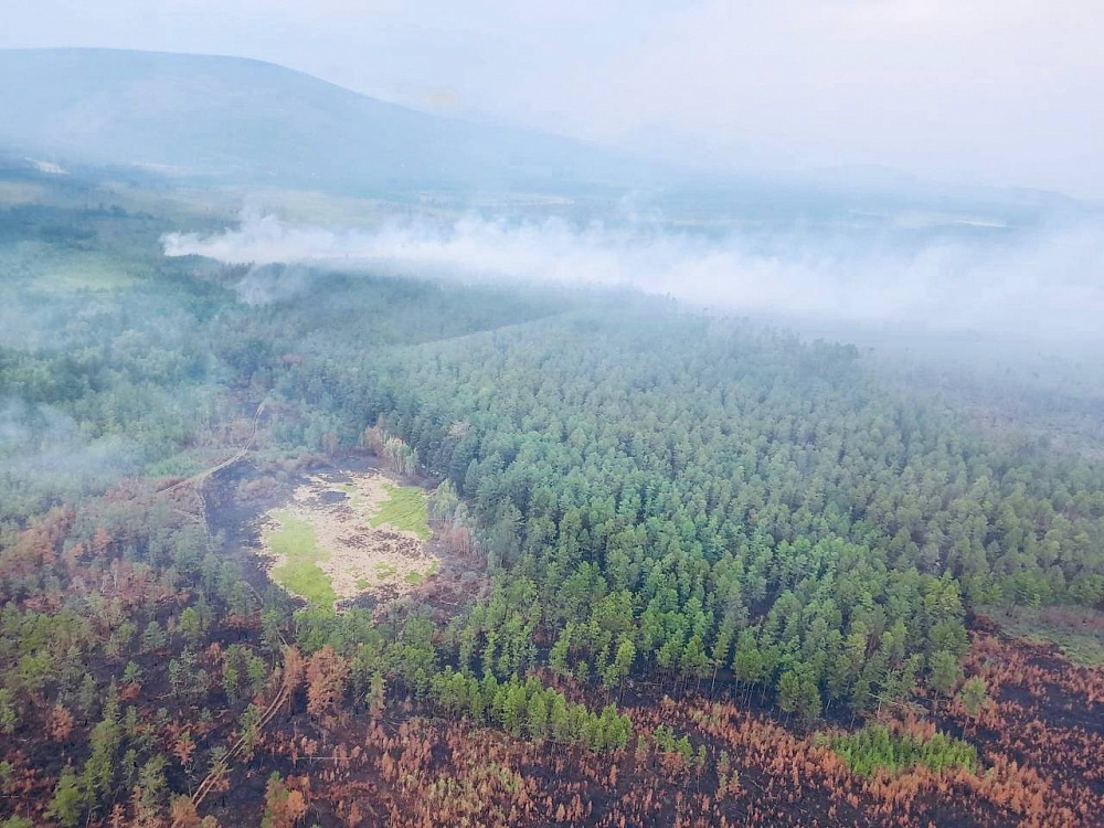 В Бурятию пришел дым из Забайкальского края В Бурятию пришел дым из Забайкальского края