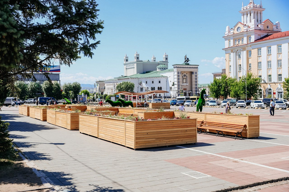 Животных с площади Советов отправят на зимовку Животных с площади Советов отправят на зимовку