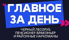 Главное за день: черный лесоруб, пенсионер-браконьер и районные наркоманы