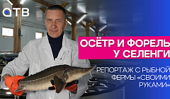 Осётр и форель у Селенги. Репортаж с рыбной фермы «своими руками»