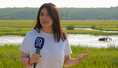 «Одна дорога в Баунт – уже экстрим». Знакомимся с самым большим районом Бурятии