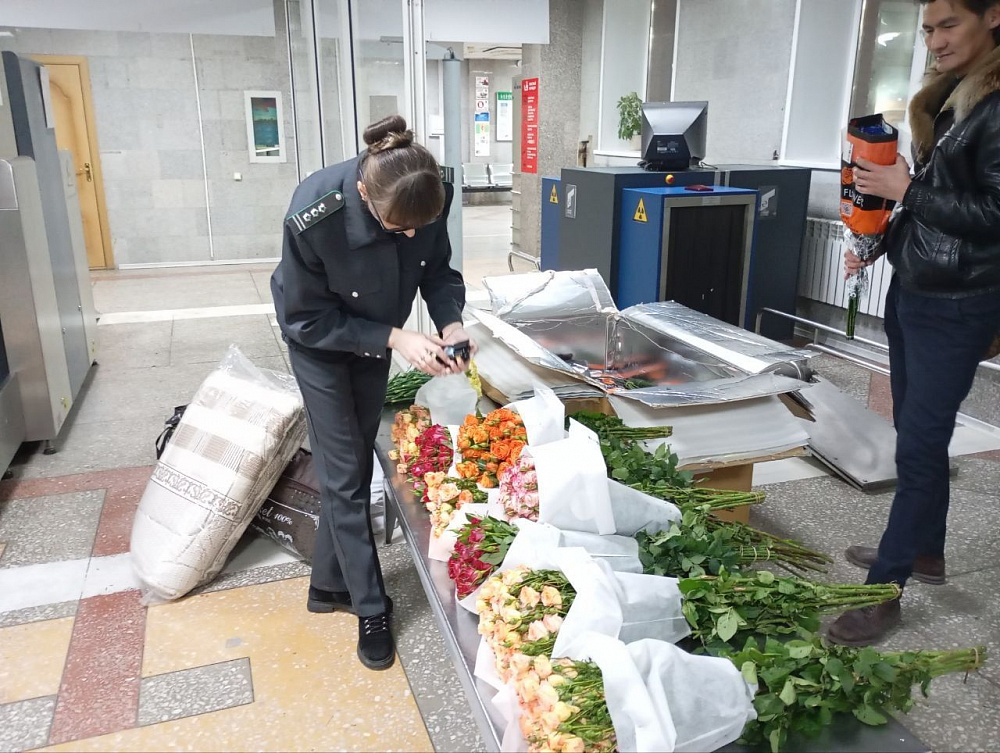 В Бурятию пытались завезти подозрительные цветы В Бурятию пытались завезти подозрительные цветы