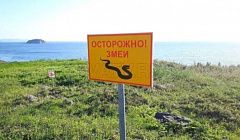 Они тушат пожары за «спасибо». В Бурятии отмечают день добровольцев