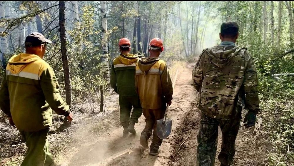В Бурятии стало намного меньше лесных пожаров В Бурятии стало намного меньше лесных пожаров