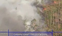 Площадь горящих лесов в Сибири увеличилась