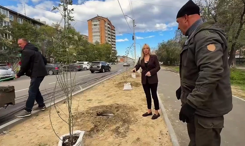 В Улан-Удэ высадили аллею серебристых тополей В Улан-Удэ высадили аллею серебристых тополей