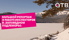 Большой репортаж о работе инспекторов в «Заповедном Подлеморье»