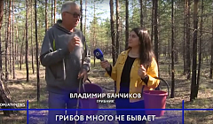 В Бурятии грибной бум