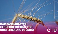 Как развивается сельское хозяйство Кяхтинского района?