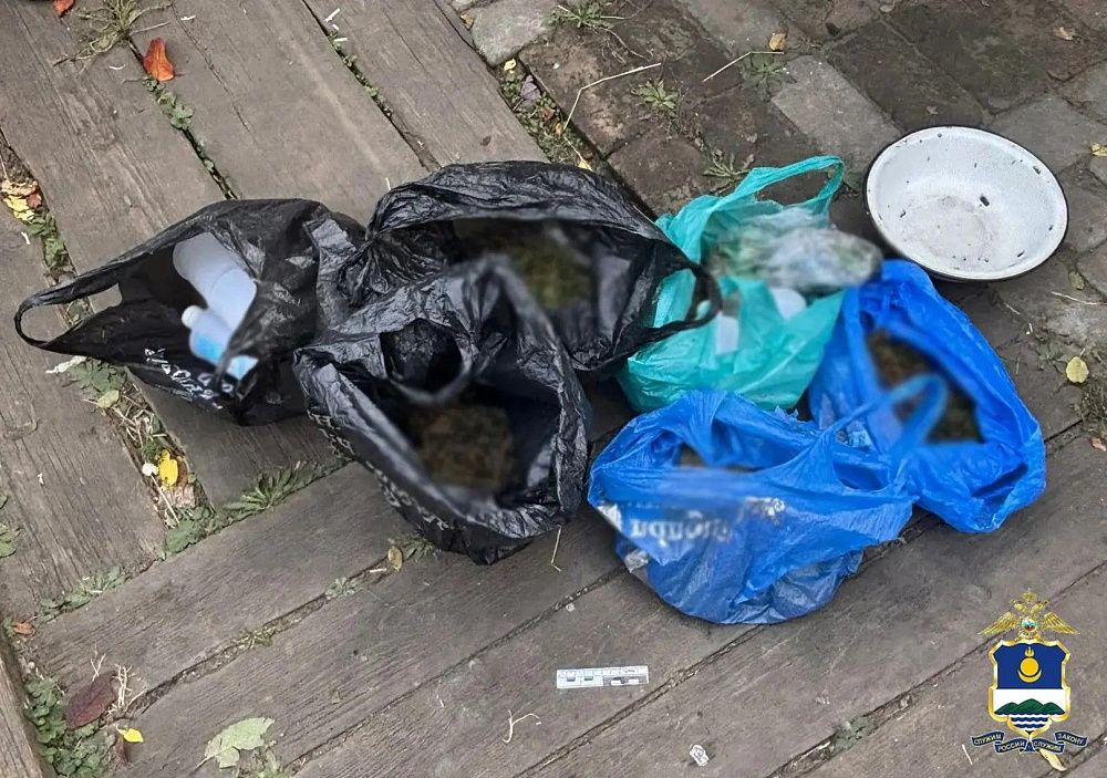 Жительница Бурятии сделала «наркозаготовки» на зиму Жительница Бурятии сделала «наркозаготовки» на зиму