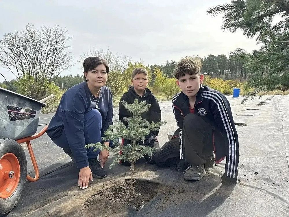 Питомник в Улан-Удэ выдал городу более 5 000 саженцев Питомник в Улан-Удэ выдал городу более 5 000 саженцев