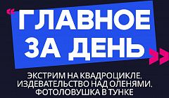 Главное за день: экстрим на квадроцикле, издевательство над оленями и фотоловушка в Тунке