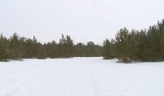 Компания друзей из Бурятии получила 9 дальневосточных гектаров