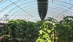 «К родителям на работу!»: в Бурятии реализовали уникальный проект для подростков