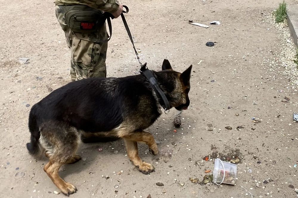 В Улан-Удэ возле мусорки нашли гранату В Улан-Удэ возле мусорки нашли гранату