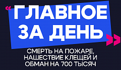 Главное за день: смерть на пожаре, нашествие клещей и обман на 700 тысяч