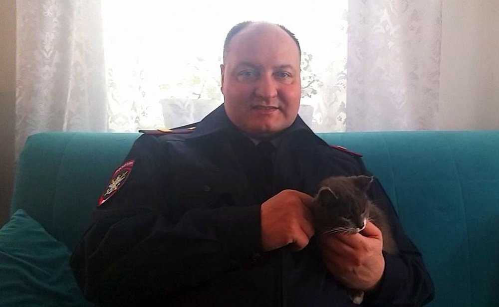Как поживает спасенная из вагона с углем кошка Найдёна Как поживает спасенная из вагона с углем кошка Найдёна
