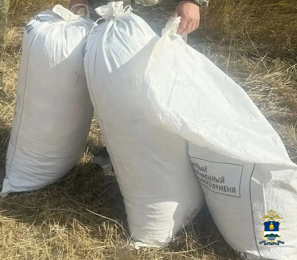 Мужчина приехал в Бурятию для «сбора урожая» на маршрутке