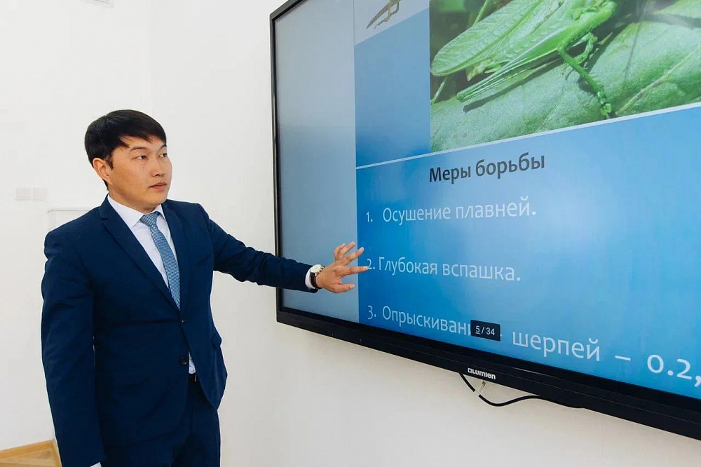 500 тысяч – за защиту докторской: в Бурятской академии ввели новые меры стимулирования для ученых 500 тысяч – за защиту докторской: в Бурятской академии ввели новые меры стимулирования для ученых