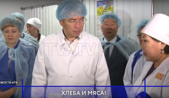 В Бурятии увеличится производство хлеба и мяса